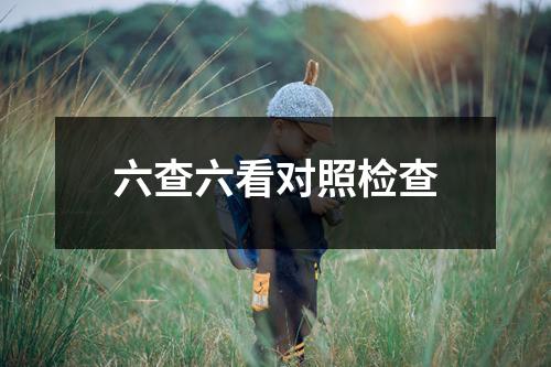 六查六看对照检查