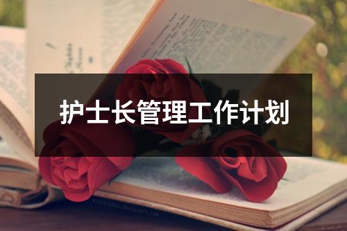 护士长管理工作计划